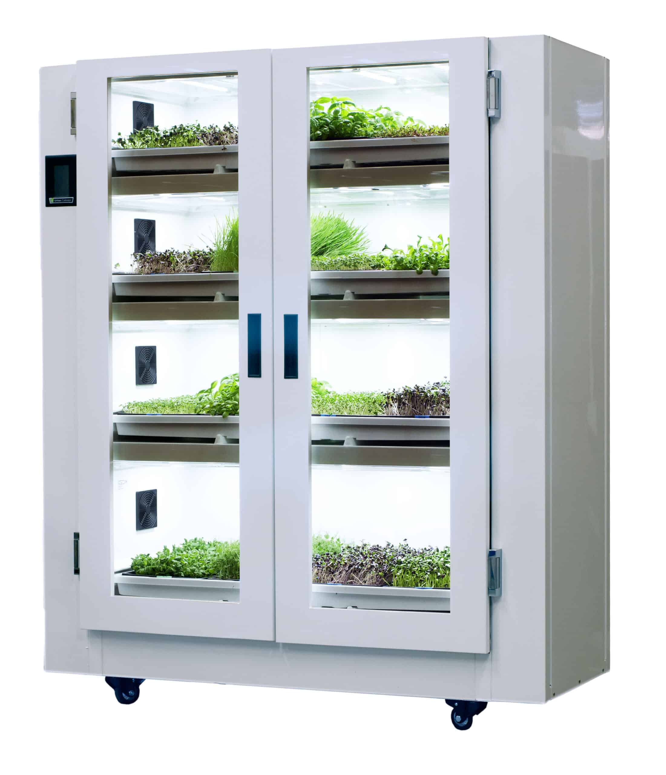 шкаф для выращивания зелени дома